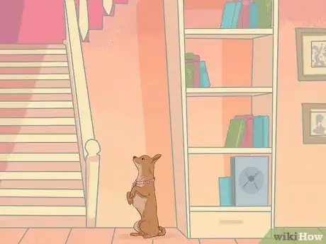 Image titled Stop a Puppy from Eating Stones Step 11