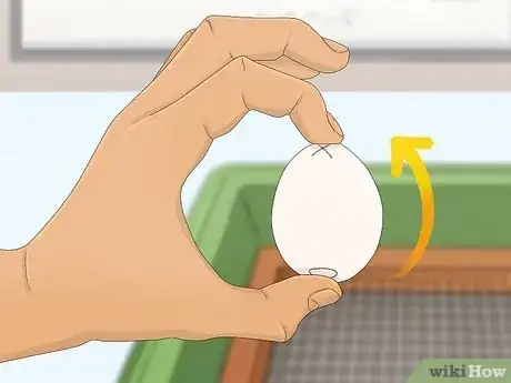 Image titled Make a Simple Homemade Incubator for Chicks Step 9