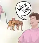 Walk Two Dogs with One Leash
