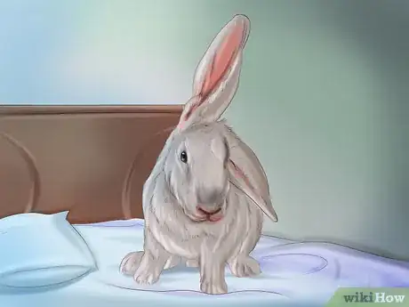 Image titled Make Your Rabbit Like You Step 2