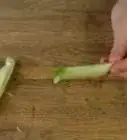 Shave Fennel