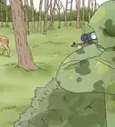 Feed Deer