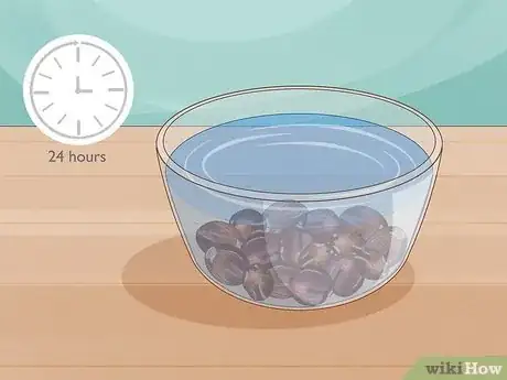 Image titled Grow Nutmeg Step 6