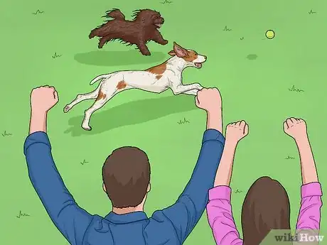 Image titled Hang Out with Your Dog Step 12