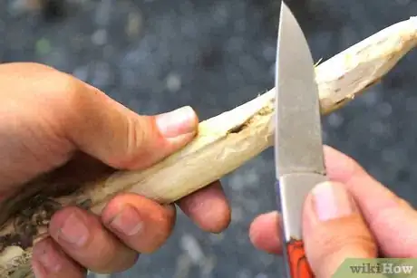 Image titled Make a Spear Step 2