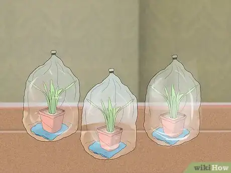 Image titled Water Plants While You're Away Step 32