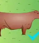 Hand Seed Cattle Pastures