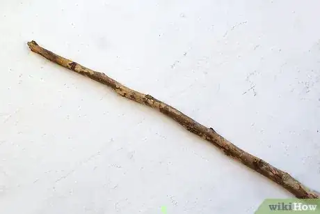 Image titled Make a Spear Step 1