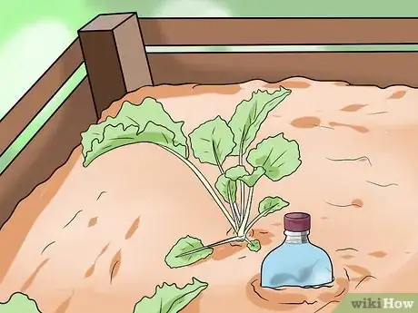 Image titled Water Plants While You're Away Step 21