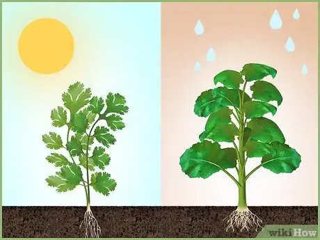 Image titled Plant a Seed Step 1