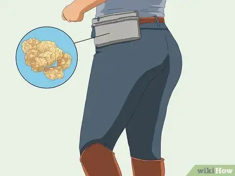 Image titled Teach a Horse to Come when Called Step 1