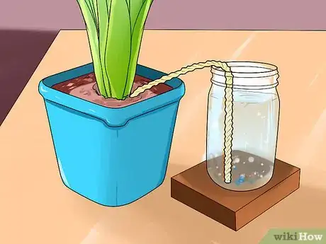 Image titled Water Plants While You're Away Step 13