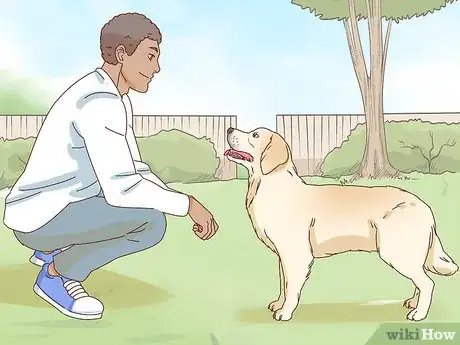 Image titled Pet a Dog Step 4