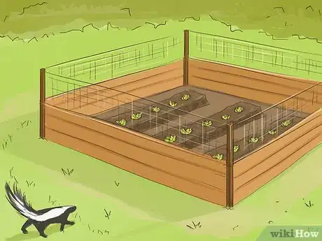Image titled Discourage Skunks in Your Garden Step 1