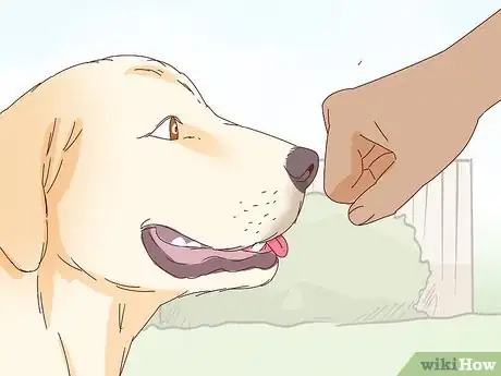 Image titled Pet a Dog Step 6
