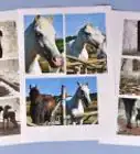 Make a Photo Collage