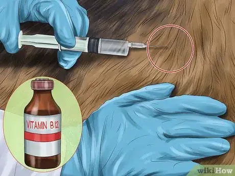 Image titled Treat Pancreatic Enzyme Deficiencies in German Shepherds Step 7