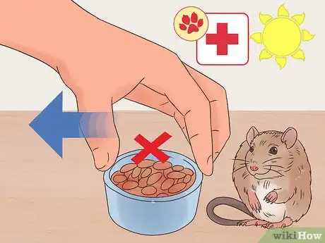 Image titled Desex a Pet Rat Step 3