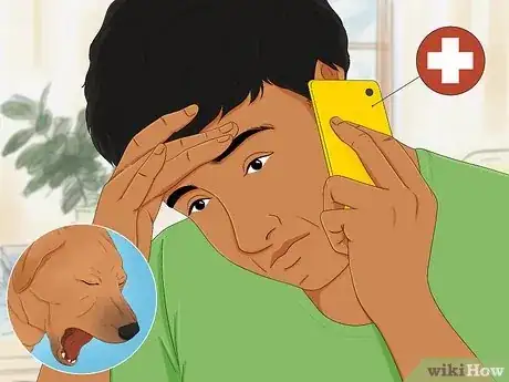 Image titled Get a Dog to Vomit Step 1