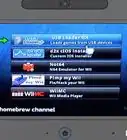 Install the Homebrew Channel on the Wii U