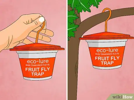 Image titled Get Rid of Fruit Flies Step 26