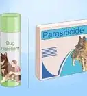 Get Rid of a Botfly in a Dog