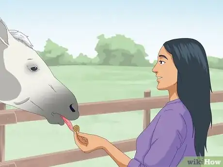 Image titled Teach a Horse to Come when Called Step 9