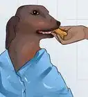 Bond with an Aloof Dog