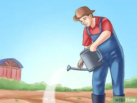 Image titled Winterize Calla Lily Bulbs Step 16