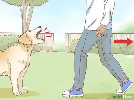 Image titled Pet a Dog Step 3