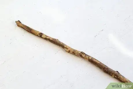Image titled Make a Spear Step 4