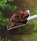 Compost Leaves