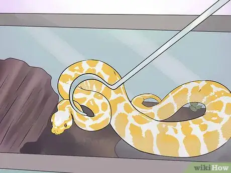 Image titled Hold a Snake Step 8