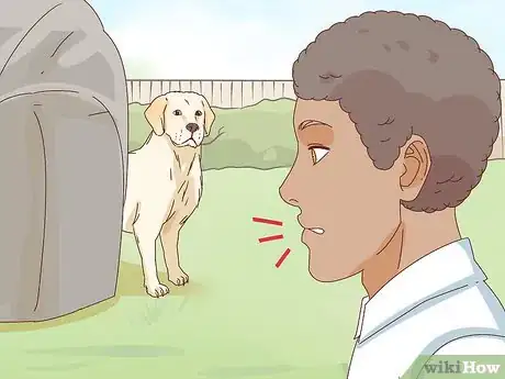 Image titled Pet a Dog Step 5