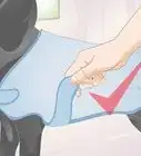 Measure Dogs for Coats