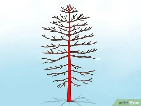 Image titled Prune Conifers Step 11