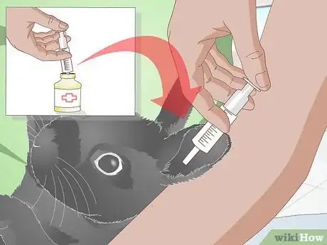 Image titled Give a Rabbit Medication Step 22