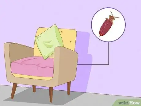 Image titled How Long Can Bed Bugs Live Without a Host Step 5