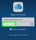 Sign Into iCloud