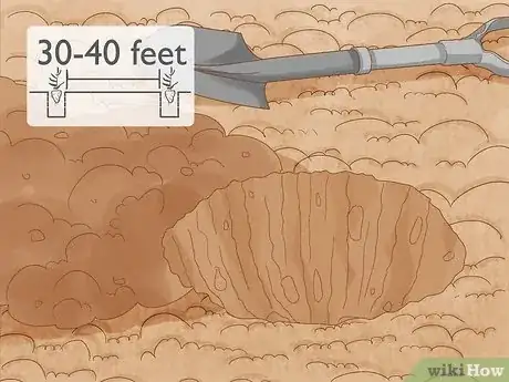 Image titled Grow Nutmeg Step 16