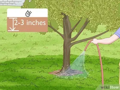 Image titled Grow Nutmeg Step 21