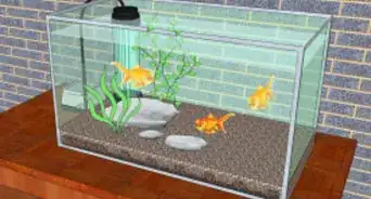 Change the Water in a Fish Aquarium