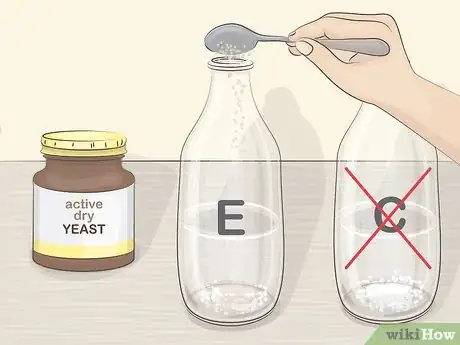 Image titled Measure Yeast Growth Step 4