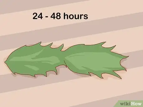 Image titled Make an Easter Cactus Bloom Step 10