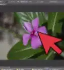 Open NEF Files in Photoshop