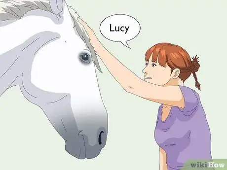 Image titled Teach a Horse to Come when Called Step 4