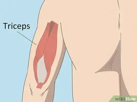 Image titled Build Your Upper Arm Muscles Step 6