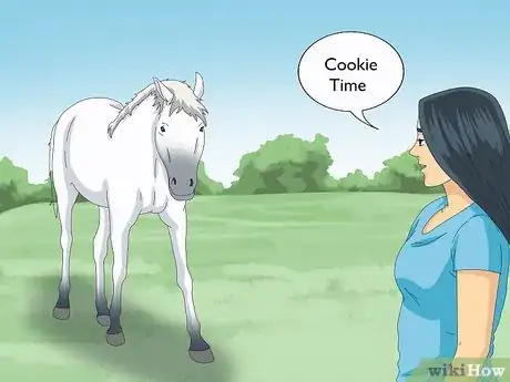 Image titled Teach a Horse to Come when Called Step 6