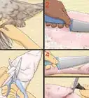 Pluck a Goose