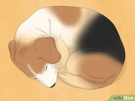 Image titled Make Your Dog Stop Sleeping in Your Bed Step 1